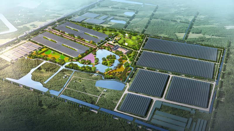 农业产业园盈利模式揭秘：PPT深度解析