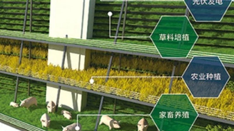 农业项目生产厂家报价单：揭秘背后的考量因素**
