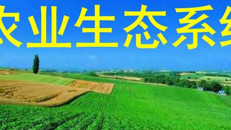 休闲农业运营方案流程解析