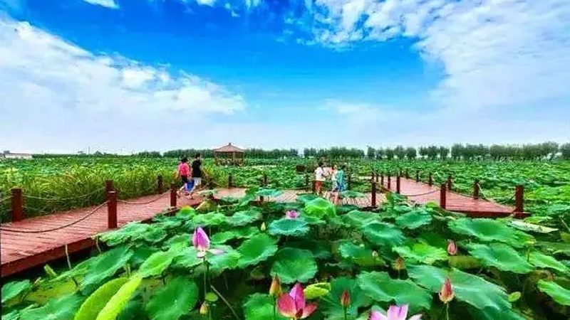 智慧农业种植技术系统：安装费用背后的考量因素