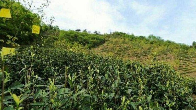 生态农场投资预算，如何科学规划？**