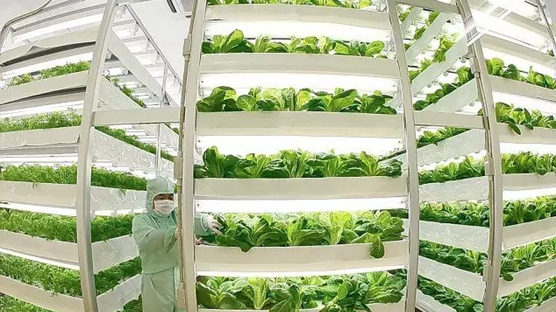 农业产业园环保材料清单：绿色种植的基石**
