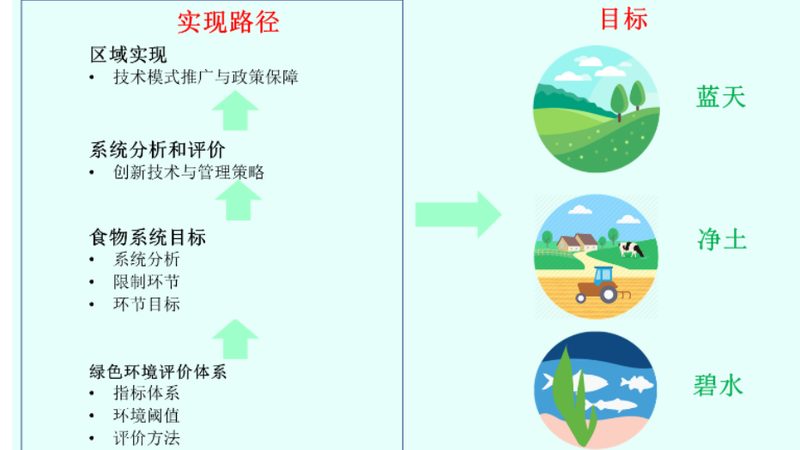 大棚保温材料：如何影响造价与效益**
