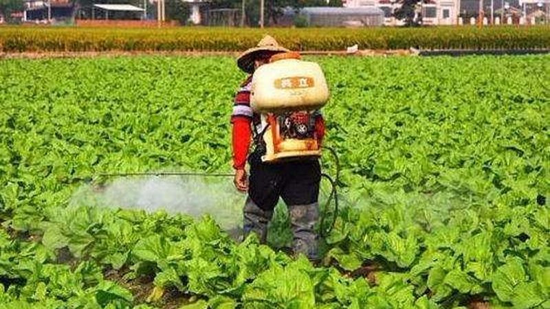 绿色食品加盟回本周期