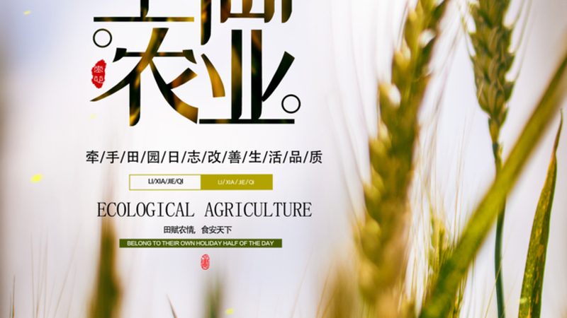 大豆玉米带状复合种植，补贴背后的政策智慧**